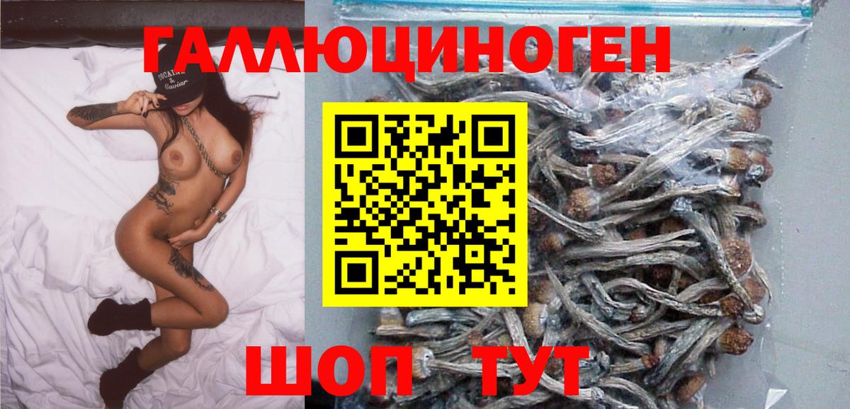 Оренбург  Галлюциногенные грибы прущие грибы  Вход с VPN 