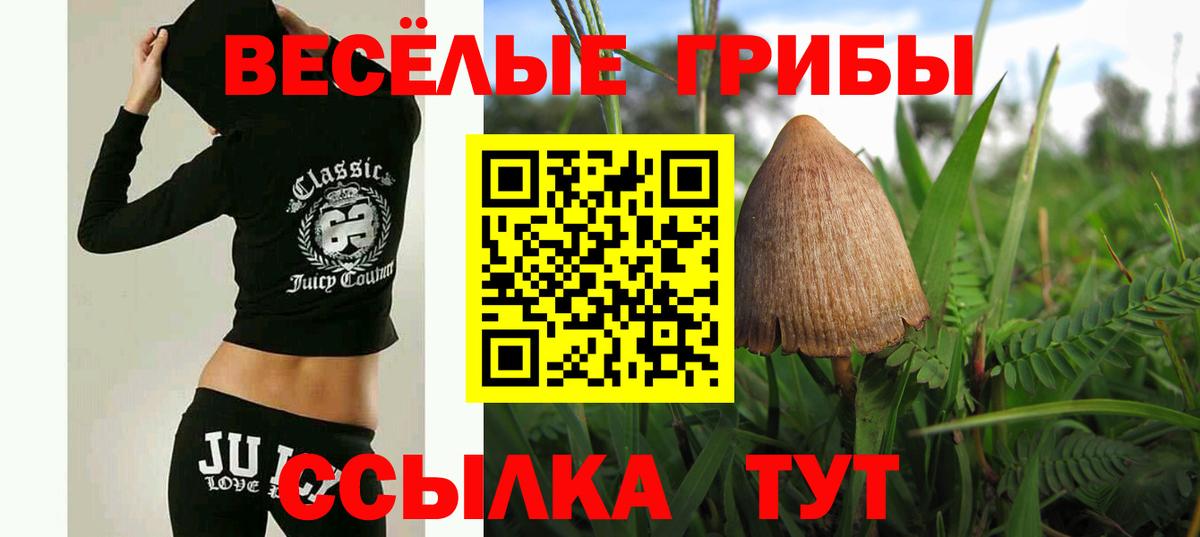 Галлюциногенные грибы GOLDEN TEACHER Оренбург